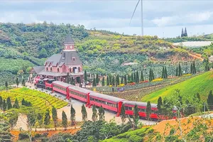 Một điểm tham quan du lịch ở giữa khu đồi chè Cầu Đất, phường Xuân Trường - Đà Lạt