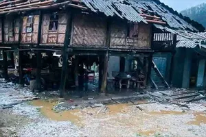 12 người bị thương do dông lốc, mưa đá