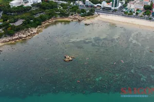 Cảnh báo tình trạng giẫm đạp lên rạn san hô gần bờ vịnh Nha Trang