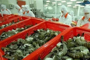 Hoa Kỳ công bố mức thuế sơ bộ với tôm Việt Nam