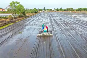 Kết nối chuỗi cung ứng phân bón cho Đề án 1 triệu ha lúa chất lượng cao