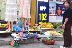 Đưa kinh tế vỉa hè vào khuôn khổ