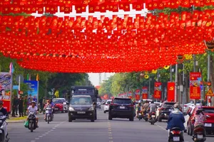 Đồng Nai chỉnh trang phố phường chào đón ngày trọng đại