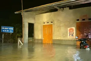 Mưa lớn đầu mùa, nhiều địa phương thiệt hại nặng