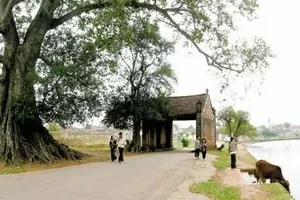 Đến Đường Lâm, tìm cảm giác bình yên