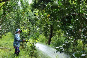 Đồng Tháp, Tây Ninh: Đảm bảo nước ngọt, chủ động ứng phó hiện tượng El Nino