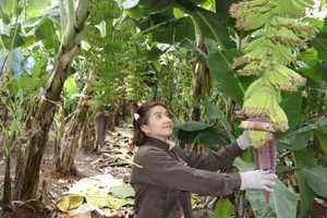 Xã Kim Long đồng hành cùng doanh nghiệp, HTX và hộ kinh doanh