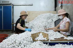 Khám phá nghề trồng dâu, ươm tơ vùng đất Nam Ban Lâm Hà
