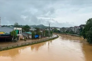 Bắc bộ sắp có thêm đợt mưa lớn, có thể tới 250mm