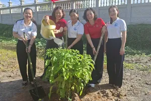 Các đại biểu trồng cây tại lễ ra quân