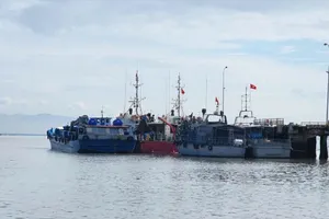 TPHCM tăng cường bảo đảm khai thác hải sản an toàn mùa mưa bão 2026