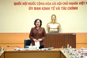 Phó Chủ tịch Quốc hội Nguyễn Thị Hồng phát biểu tại buổi làm việc. Ảnh: CẨM HÀ 