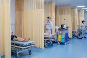 Các bệnh nhân bị ong đốt được theo dõi sức khỏe tại Bệnh viện Đại học Y khoa Phan Châu Trinh 