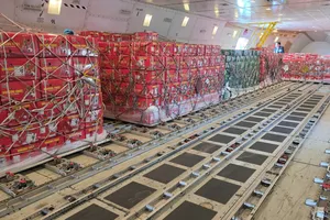 Hàng nông sản Việt Nam được Tập đoàn Lulu thu mua và vận chuyển bằng chuyên cơ về nước. Ảnh: MINH XUÂN