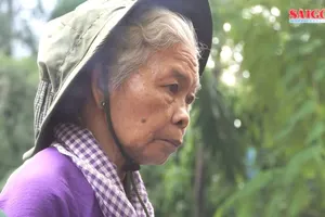 Công nhận vợ liệt sĩ Huỳnh Văn Quên: Làn gió mát của tình yêu sắt son và sự tri ân cao cả