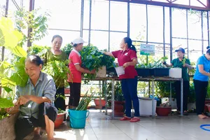 Sống xanh từ những “Nông trại trên cao”