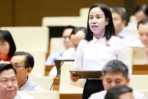Đại biểu Quốc hội thảo luận tại hội trường về dự án Luật Phổ biến, giáo dục pháp luật (sửa đổi).