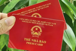 Ảnh: THU HÀ