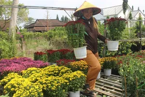 Ảnh minh họa