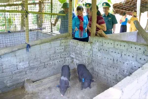 Đồng hành cùng phụ nữ biên cương tại tỉnh Nghệ An