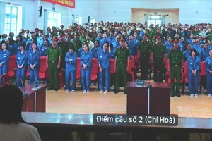 Chuyên án VN10: Nhiều trường hợp mẹ con hầu tòa