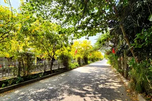 Người gõ trống