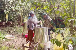Làm giàu ở “Vườn rừng Bản Thổ” 
