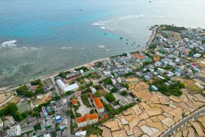 Giữ màu xanh “đảo tỏi”