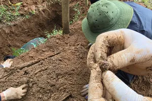 Tìm thấy hài cốt thứ 9 cùng nhiều di vật tại rừng tràm xã Dân Hóa, tỉnh Quảng Trị