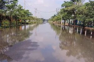 Khu công nghiệp Đức Hòa 1, xã Mỹ Hạnh, tỉnh Tây Ninh ngập úng, ảnh hưởng đến sản xuất, kinh doanh của doanh nghiệp