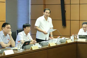 Chủ tịch Quốc hội Trần Thanh Mẫn phát biểu tại tổ ĐB TPHCM. Ảnh: QUANG PHÚC 