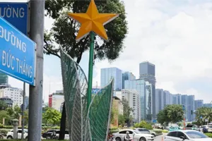 TPHCM bàn giải pháp phân cấp đặt, đổi tên đường