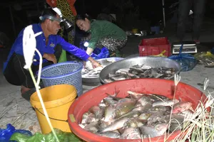 “Chợ ma” mùa nước nổi vùng biên giới An Giang 