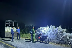 Tang vật cùng phương tiện bị tạm giữ. Ảnh: Công an cung cấp