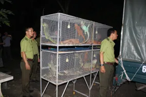 Hành vi của ông Em vi phạm về quản lý, nuôi nhốt và mua bán động vật hoang dã trái phép