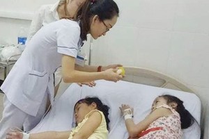 Primary students in Nghe An province are hospitalized due to eating wutong seeds (Photo: SGGP)