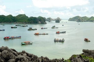 Lan Ha Bay in Cat Ba town (Source: VNA)