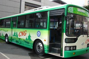 CNG-powered bus will be replaced for old vehicles in the city (Photo: SGGP)