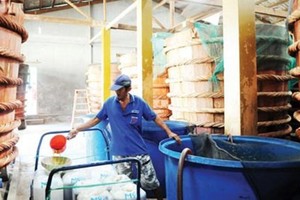Traditionally made fish sauce in Phu Quoc ( Photo: SGGP)