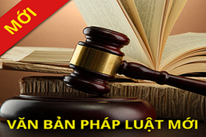 12 new laws announced