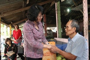 Vice President Dang Thi Ngoc Thinh in Con Dao (Source: VNA)