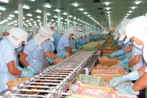Workers are working in a company in the industrial park in Hau Giang Province (Photo: SGGP)