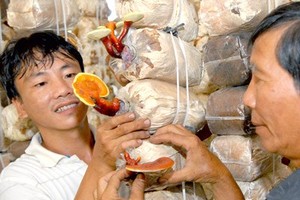 Countryside men honored for doing business well