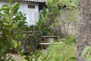 Rice noodle makers in Van Cu Village in the central province of Thua Thien-Hue have built tanks to filter untreated wastewater from the production process. – Photo baotainguyenmoitruong.vn