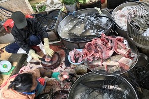 Fish sold at Hanoi’s Dong Xuan Market. (Source: VNA)