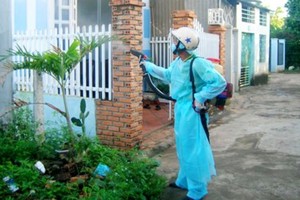 HCMC still sees  increase in dengue infections