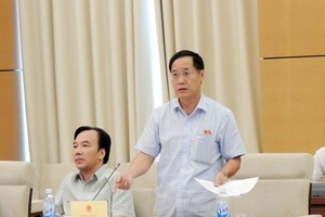 Mr. Bo at the session (Photo: SGGP)