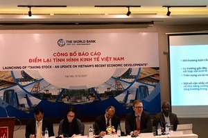Vietnam’s economy has another good year of strong growth: WB director