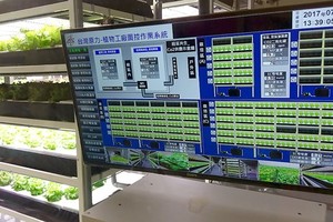 The system to monitor the development of a vegetable farm, implementing IoT in agriculture with Taiwanese technologies(Photo: SGGP) 