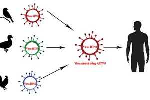 Flu patients increase due to cold weather